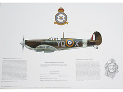 Spitfire and other RAF aircraft posters