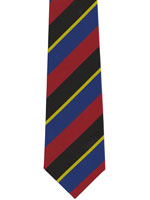 A University Polyester Striped Tie