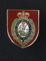 Northumberland Fusiliers, Pin Badge