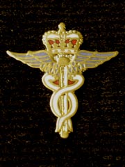 Royal Air Force Medical Pin Badge
