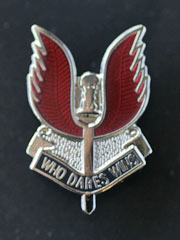 SAS (red) Pin Badge