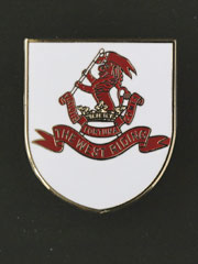 West Riding Regiment, Pin Badge